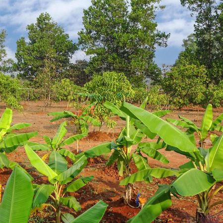 مبيت وإفطار Bhom Aarya Farm المظهر الخارجي الصورة